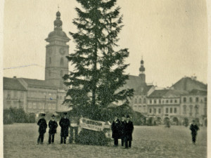 Foto stromu 20. 12. 1925