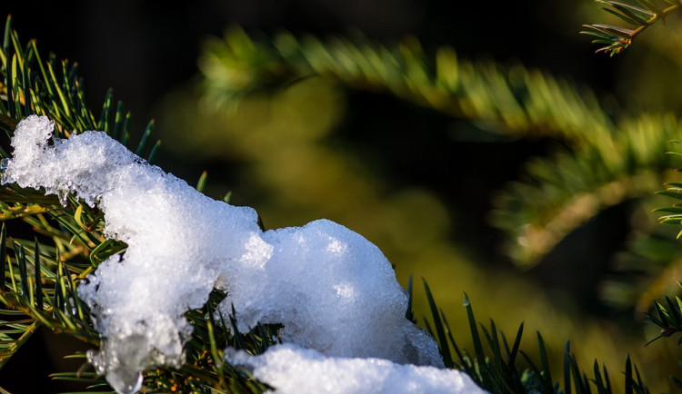 Tento týden se oteplí. O víkendu může být až 15 stupňů