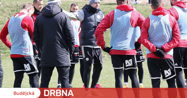 Dynamo zmierzy się z drużynami z Węgier, Polski czy Rosji w przygotowaniach Piłka nożna |  Sport |  Budejcka Drbna