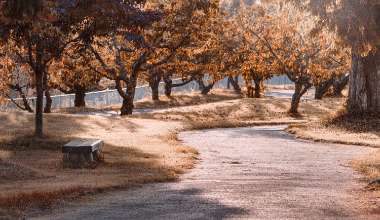 Teplé počasí potrvá do středy. Pak se začne ochlazovat