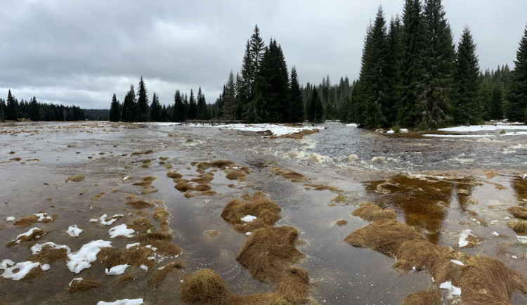 Šumava nepustila povodeň. Národní park ukazuje, jak se podařilo zastavit velkou vodu