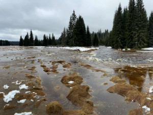 Šumava nepustila povodeň. Národní park ukazuje, jak se podařilo zastavit velkou vodu