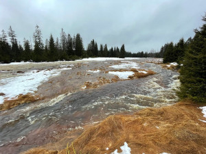 Přítok Javořího potoka