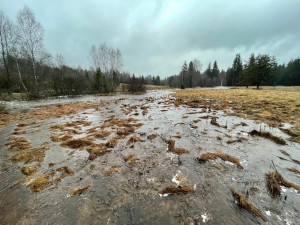 Jezerní potok u Prášil