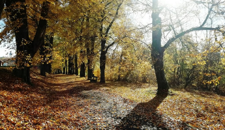 Blíží se konec hlasování o nejkrásnější alej. Vede ta v Klokotech