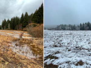 Vzniku mohutné povodňové vlny zabránily při masivních lijácích na Šumavě křivolaké tvary mělkých toků