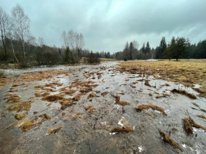 Vzniku mohutné povodňové vlny zabránily při masivních lijácích na Šumavě křivolaké tvary mělkých toků