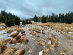 Vzniku mohutné povodňové vlny zabránily při masivních lijácích na Šumavě křivolaké tvary mělkých toků