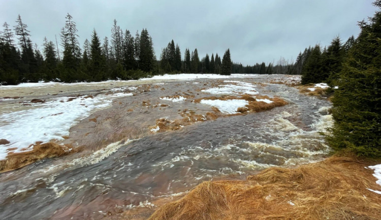 Vzniku mohutné povodňové vlny zabránily při masivních lijácích na Šumavě křivolaké tvary mělkých toků
