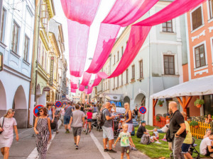 Budějovice najmou za půl milionu rakouskou expertku na kulturu