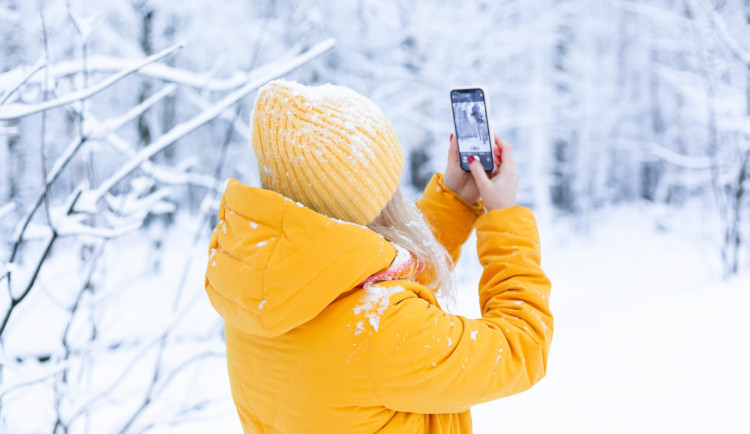 © Ксения Приходько