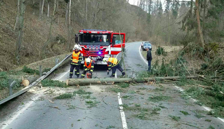 Hasiči od rána odklízejí popadané stromy. V Dačicích vítr odnesl plechovou garáž