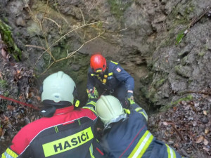 Vltavotýnští hasiči zachraňovali psa, který spadl do těžební šachty. Zvíře vytáhli pomocí postroje