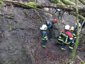 Vltavotýnští hasiči zachraňovali psa, který spadl do těžební šachty. Zvíře vytáhli pomocí postroje
