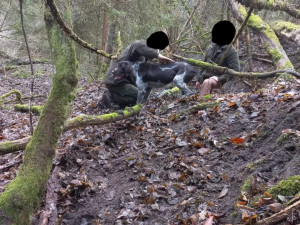 Vltavotýnští hasiči zachraňovali psa, který spadl do těžební šachty. Zvíře vytáhli pomocí postroje