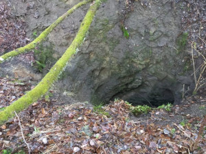 Vltavotýnští hasiči zachraňovali psa, který spadl do těžební šachty. Zvíře vytáhli pomocí postroje