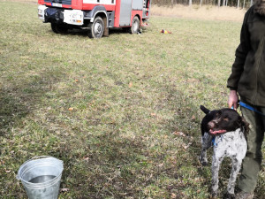 Vltavotýnští hasiči zachraňovali psa, který spadl do těžební šachty. Zvíře vytáhli pomocí postroje