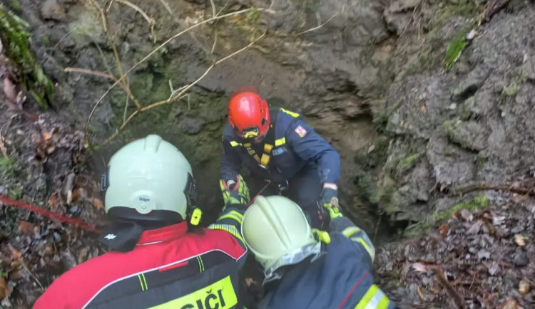 Vltavotýnští hasiči zachraňovali psa, který spadl do těžební šachty. Zvíře vytáhli pomocí postroje