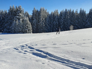 Pololetní prázdniny na sněhu pro celou rodinu ve Skiareálu Lipno