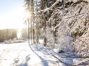 Pololetní prázdniny na sněhu pro celou rodinu ve Skiareálu Lipno