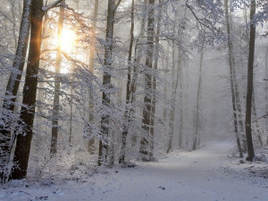 Počasí bude proměnlivé. Meteorologové varují před závějemi a silným větrem