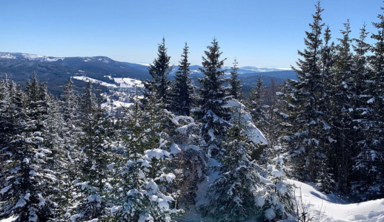 Policie vyslechla skialpinisty podezřelé z drsného útoku na strážce šumavského parku