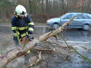 Jižní Čechy zasáhl silný vítr. Lidé jsou bez elektřiny, hasiči řeší nehody i popadné stromy