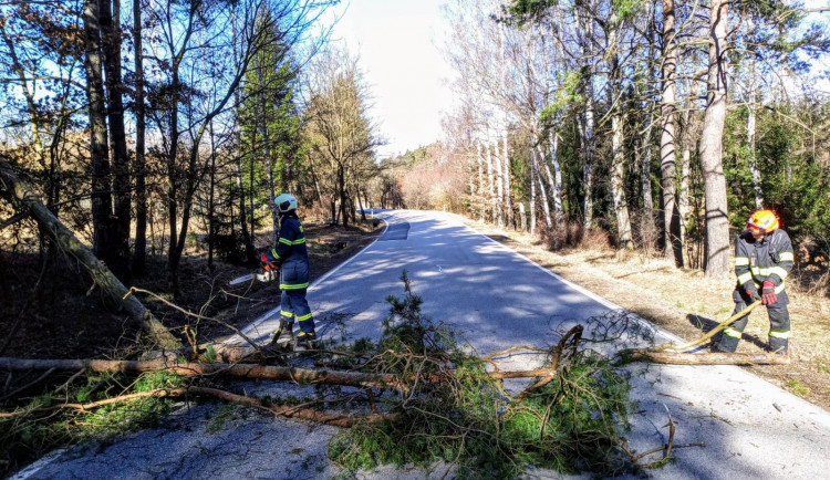 Silný vítr opět udeřil. Hasiči odklízeli popadané stromy, domácnosti byly znovu bez elektřiny