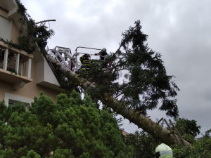 Temelínští hasiči v loňském roce zasahovali hlavně preventivně. Pomohli i při červnové bouři