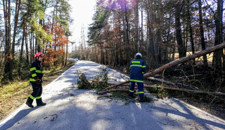 V pondělí je hrozba větru větší než dosud, mohou se rozvodnit řeky