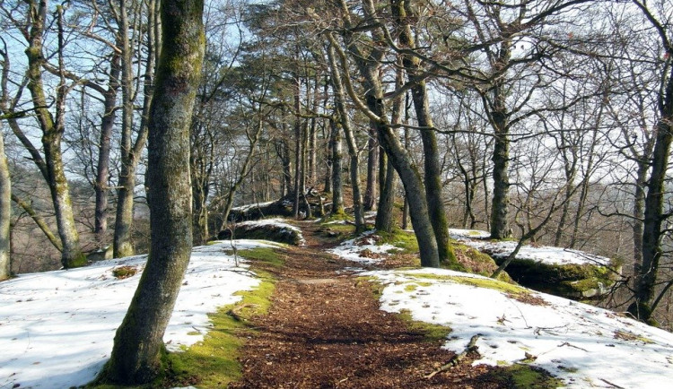 Víkend v Česku by měl být méně větrný než uplynulé dny, na horách může sněžit