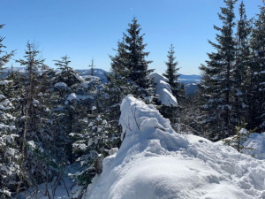 Asociace strážců přírody ČR vyloučila, že by profesionální strážce přírody napadl neukázněného lyžaře