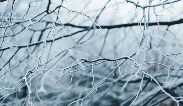Březen se uvedl mrazivým ránem, na Kvildě bylo minus 20 stupňů
