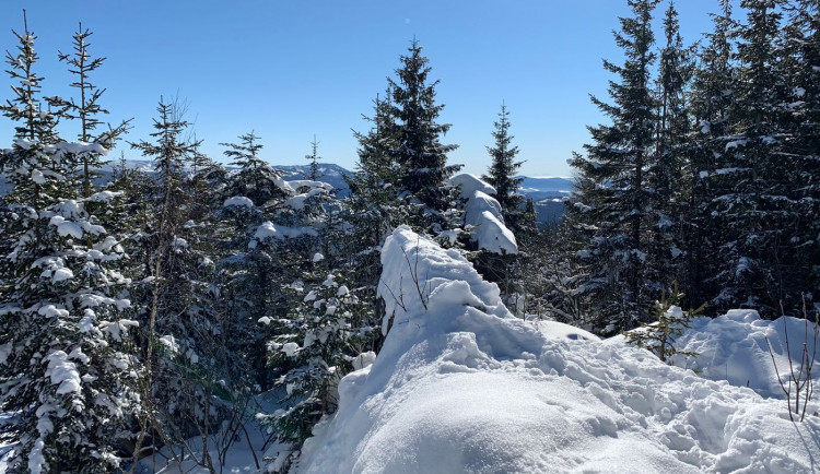 Asociace strážců přírody ČR vyloučila, že by profesionální strážce přírody napadl neukázněného lyžaře