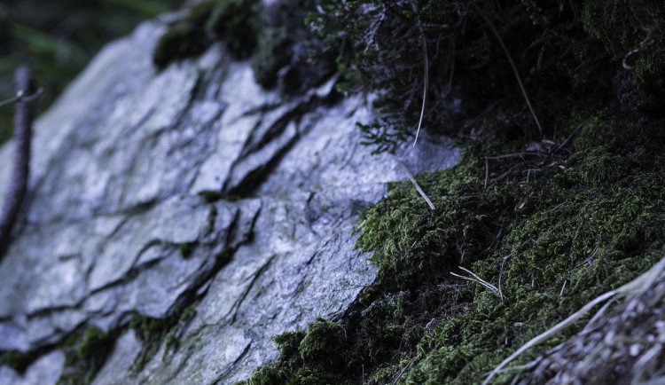 Skála by se mohla zřítit na silnici. Práce mezi Krumlovem a Větřní začnou v březnu