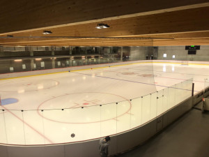 Českobudějovičtí Black Dogs hrají mezinárodní hokej