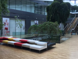 Českobudějovičtí Black Dogs hrají mezinárodní hokej