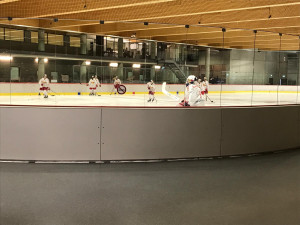 Českobudějovičtí Black Dogs hrají mezinárodní hokej