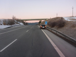 Nedaleko hranic s Německem srazil řidič vlka. Zvíře zraněním podlehlo