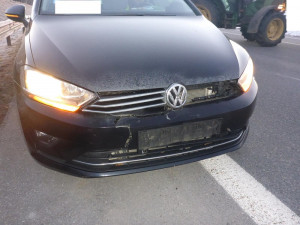 Nedaleko hranic s Německem srazil řidič vlka. Zvíře zraněním podlehlo