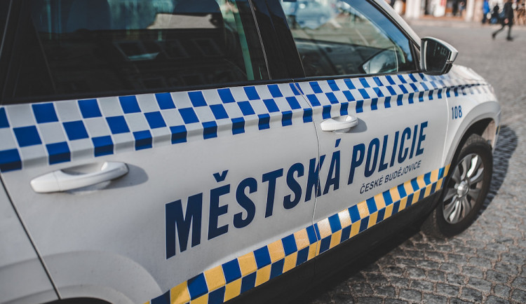 Policie obvinila českobudějovického strážníka, který udeřil ženu do obličeje