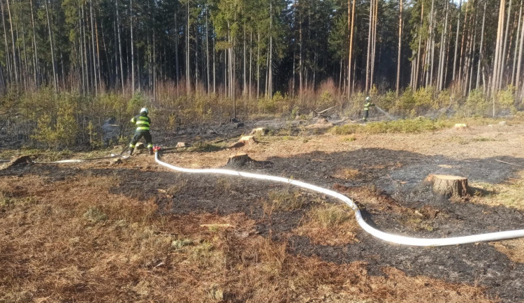 Požárů v přírodě přibývá. Během víkendu zasahovali hasiči u více než 60 případů