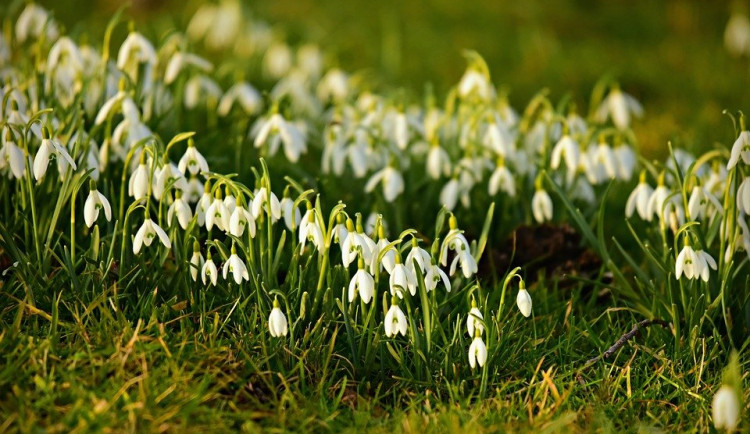 Většinu týdne bude jasno. O víkendu se ochladí
