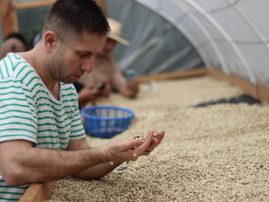 Jsme kávoví holisti. Důležitá je pro nás pří výběru hlavě chuť, říkají majitelé qb coffee roasters