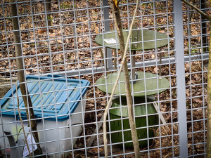 Vědci českobudějovického biologického centra v posledních měsících evidovali několik krádeží přístrojů, které mají kvůli výzkumu ve volné přírodě.