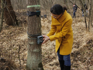 „Dochází tady k absurdním situacím, kdy se každý týden něco ztratí. Letos máme evidovanou škodu za 50 tisíc korun, loni to bylo celkem 70 tisíc korun,“ uvedla Kateřina Sam z biologického centra.