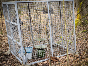 Vědci českobudějovického biologického centra v posledních měsících evidovali několik krádeží přístrojů, které mají kvůli výzkumu ve volné přírodě.