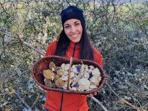 Šumavská houbička inspiruje tisíce lidí k houbařským výpravám do lesa v každém ročním období