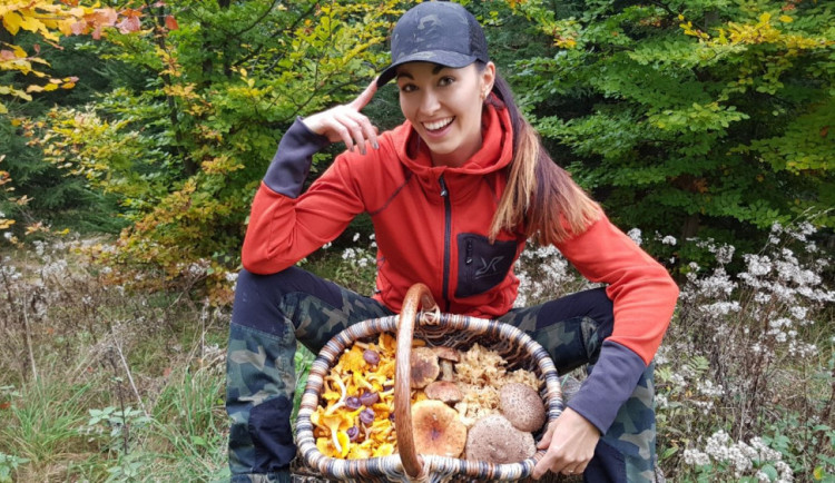 Šumavská houbička inspiruje tisíce lidí k houbařským výpravám do lesa v každém ročním období