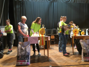 Ve Slavii soutěžily kočky o tituly krásy. Přijelo jich dvě stě